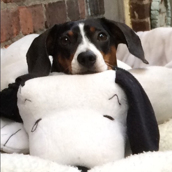 Meet your Posher, Cheryl - Picture 1 of 1